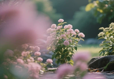 photography depth of field09 photography depth of field09